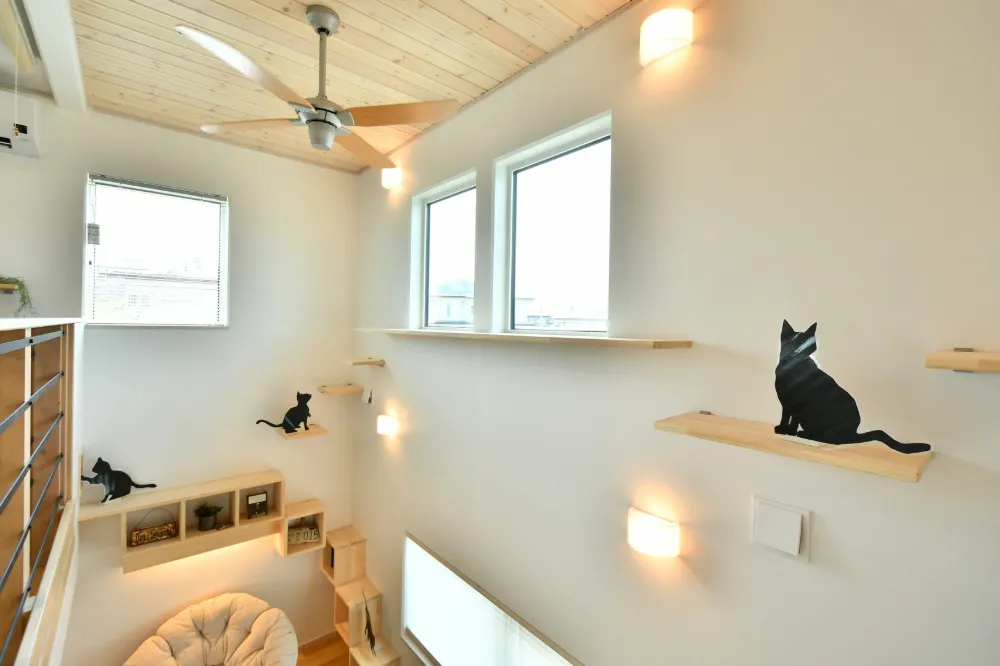 「好き」と「遊び心」を詰め込んで。高気密・高断熱が叶える、家族とペットの自由な暮らし。
