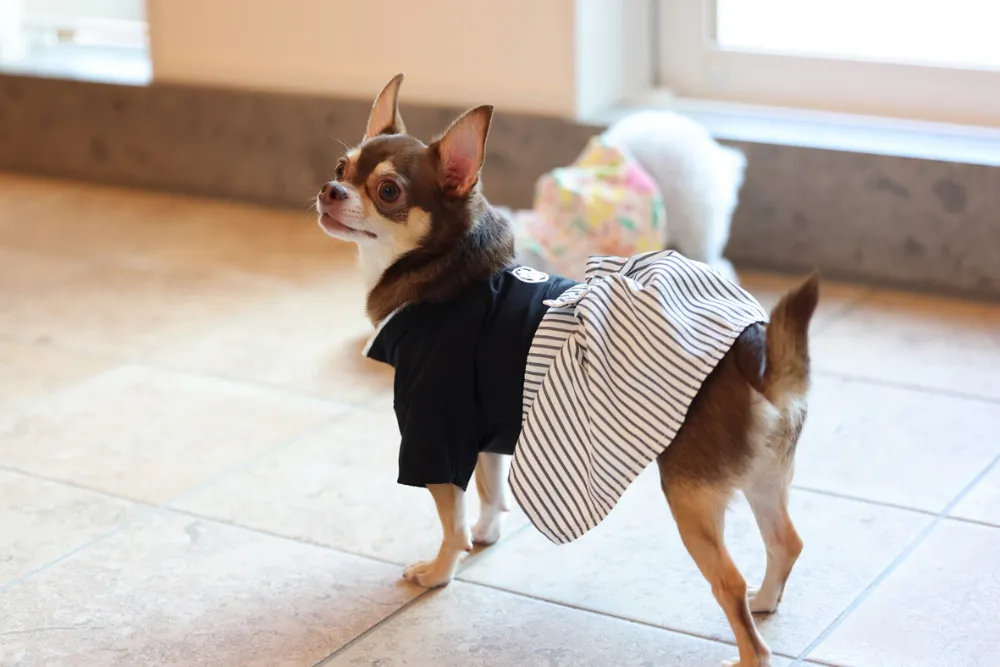 撮影に参加させていただきました