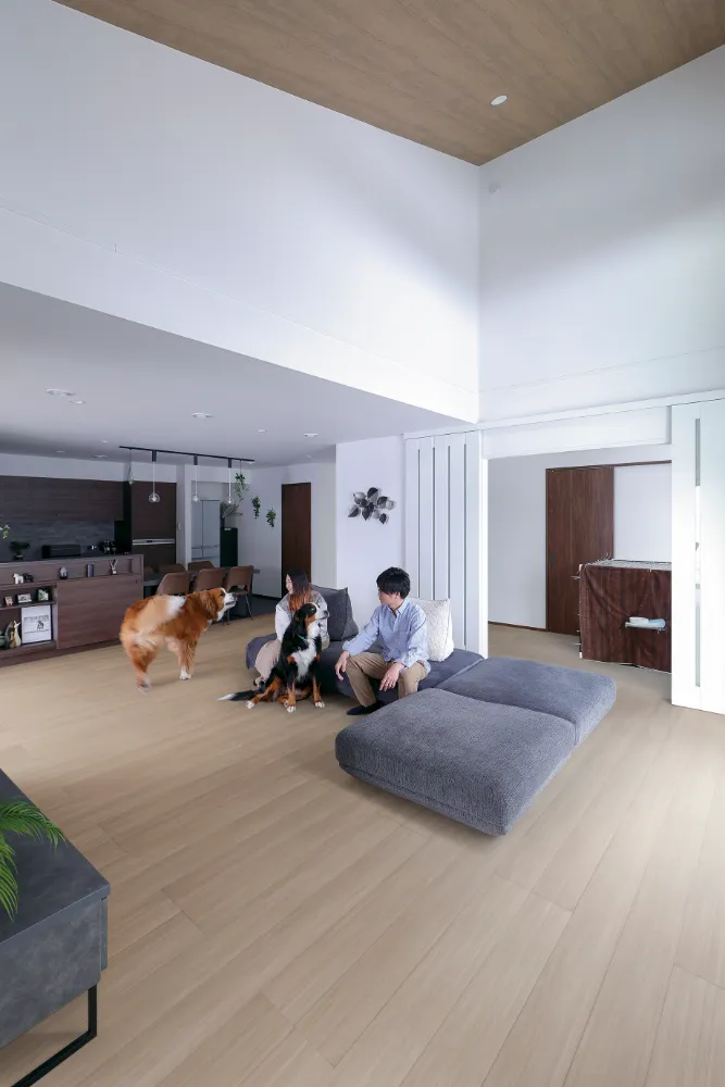 天井 | 勾配天井